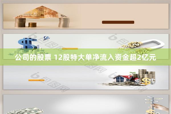 公司的股票 12股特大单净流入资金超2亿元